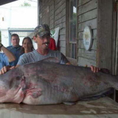 Greg Bernal Missouri State Record