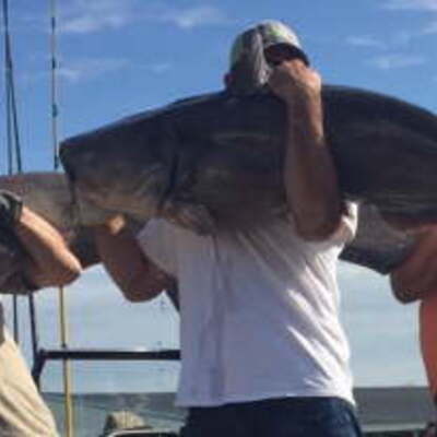 Jason Jackson Justin Wolfe Frank Kastl  234 total 84 80 60